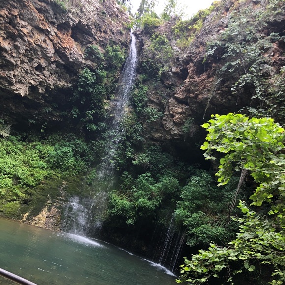 Meet your Posher, Bailey! - Picture 1 of 7